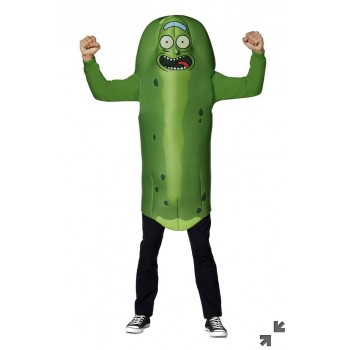 Pickle Rick ADULT HIRE
